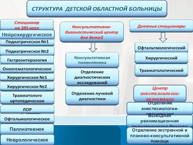 Паллиативное Неврологическое Центр анестезиологии-реанимации Отделение анестезиологии-реанимации Выездная реанимационная педиатрическая бригада Отделение экстренной и планово-консультативной помощи Нейрохирургическое