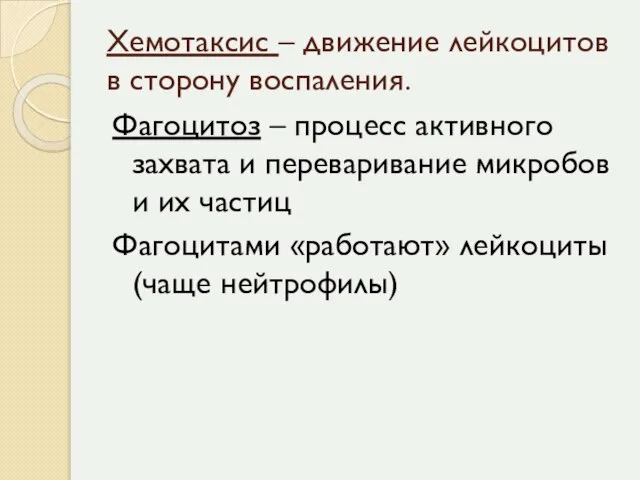 Хемотаксис – движение лейкоцитов в сторону воспаления. Фагоцитоз – процесс активного захвата