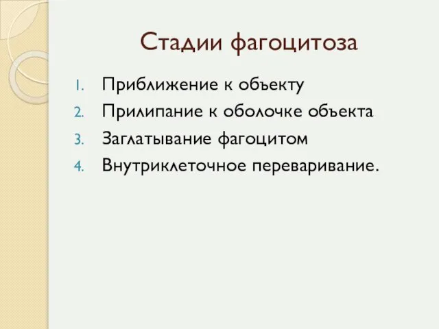 Стадии фагоцитоза Приближение к объекту Прилипание к оболочке объекта Заглатывание фагоцитом Внутриклеточное переваривание.