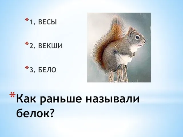 Как раньше называли белок? 1. ВЕСЫ 2. ВЕКШИ 3. БЕЛО