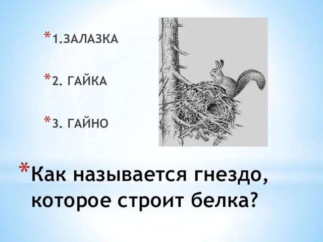 Как называется гнездо, которое строит белка? 1.ЗАЛАЗКА 2. ГАЙКА 3. ГАЙНО