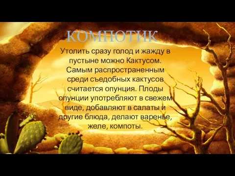 КОМПОТИК Утолить сразу голод и жажду в пустыне можно Кактусом. Самым распространенным