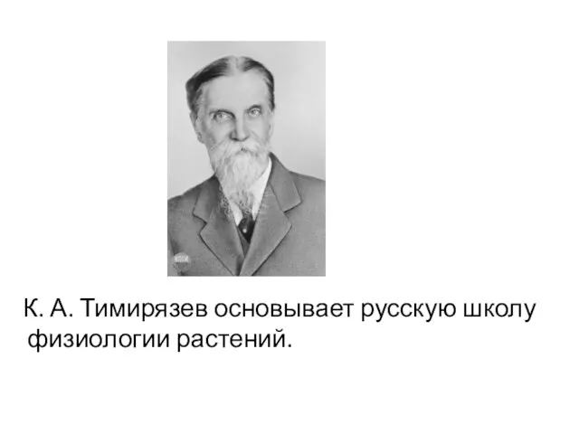К. А. Тимирязев основывает русскую школу физиологии растений.