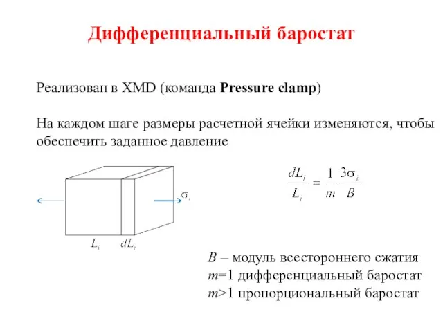 Дифференциальный баростат Реализован в XMD (команда Pressure clamp) На каждом шаге размеры