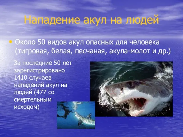 Нападение акул на людей За последние 50 лет зарегистрировано 1410 случаев нападений