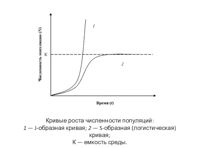 Кривые роста численности популяций: 1 — J-образная кривая; 2 — S-образная (логистическая)