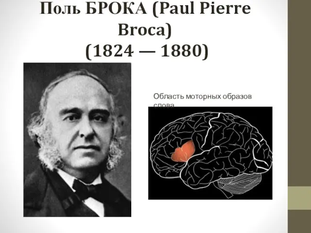 Поль БРОКА (Paul Pierre Broca) (1824 — 1880) Область моторных образов слова