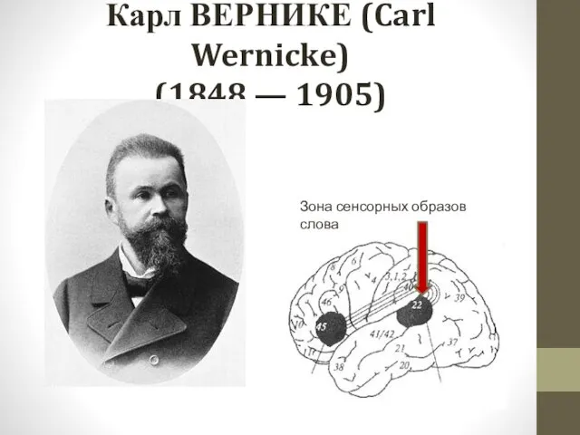 Карл ВЕРНИКЕ (Carl Wernicke) (1848 — 1905) Зона сенсорных образов слова