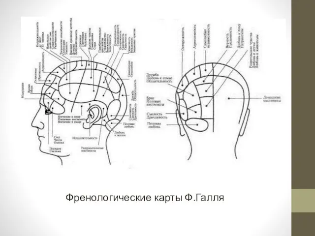 Френологические карты Ф.Галля