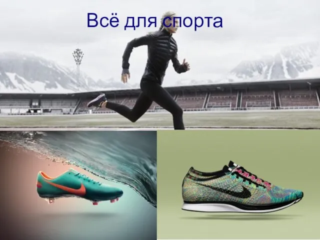 Всё для спорта