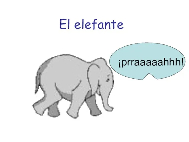 El elefante ¡prraaaaahhh!