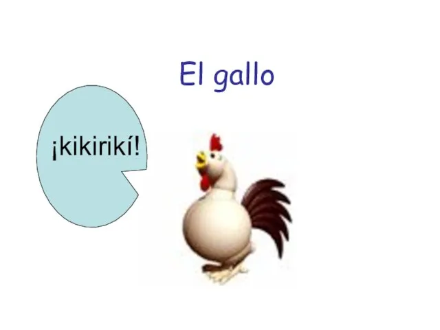 El gallo ¡kikirikí!