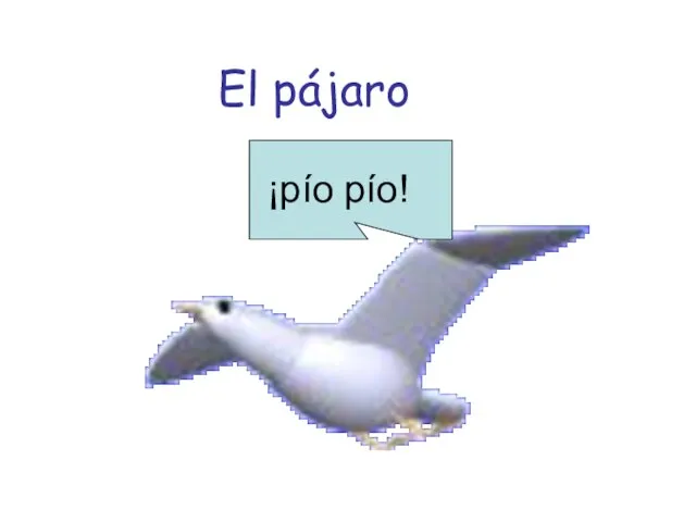 El pájaro ¡pío pío!