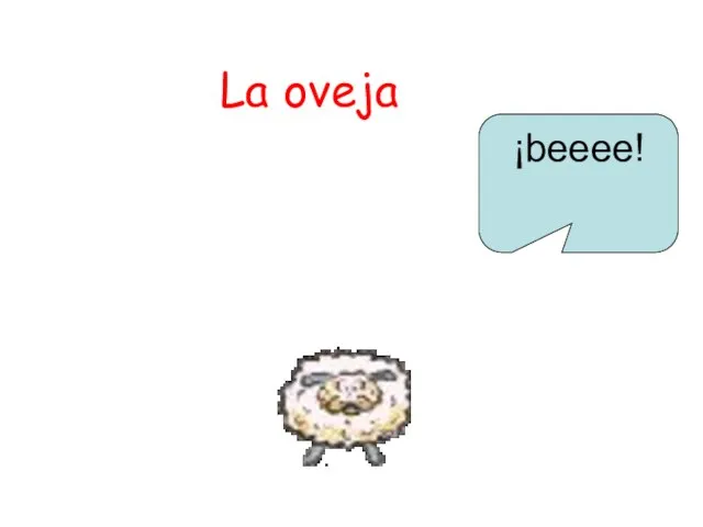 La oveja ¡beeee!