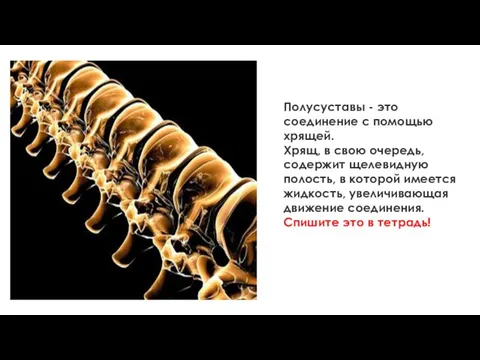 Полусуставы - это соединение с помощью хрящей. Хрящ, в свою очередь, содержит