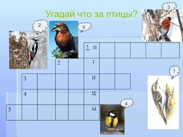 Угадай что за птицы? 5 2 3 4 1