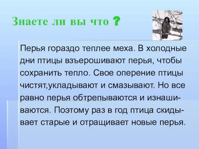 Знаете ли вы что ? Перья гораздо теплее меха. В холодные дни