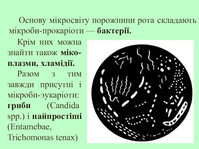 Крім них можна знайти також міко-плазми, хламідії. Разом з тим завжди присутні