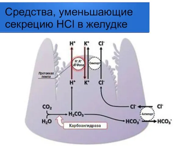 Средства, уменьшающие секрецию HСl в желудке