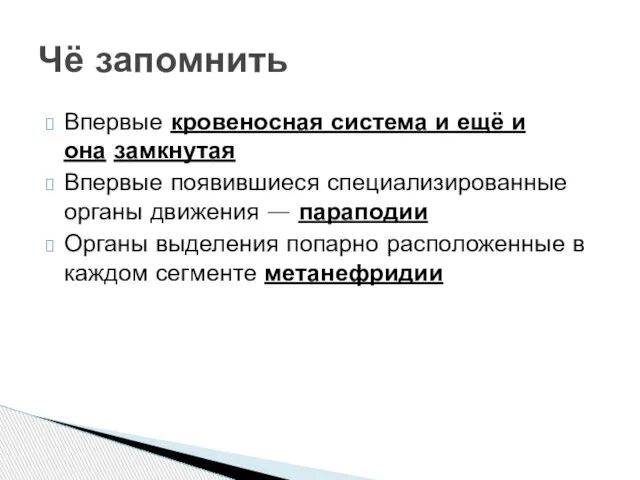 Впервые кровеносная система и ещё и она замкнутая Впервые появившиеся специализированные органы