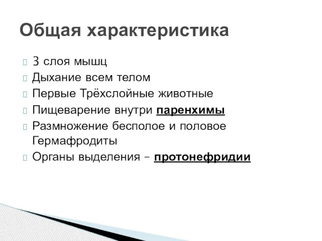 3 слоя мышц Дыхание всем телом Первые Трёхслойные животные Пищеварение внутри паренхимы