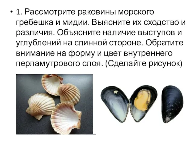 1. Рассмотрите раковины морского гребешка и мидии. Выясните их сходство и различия.