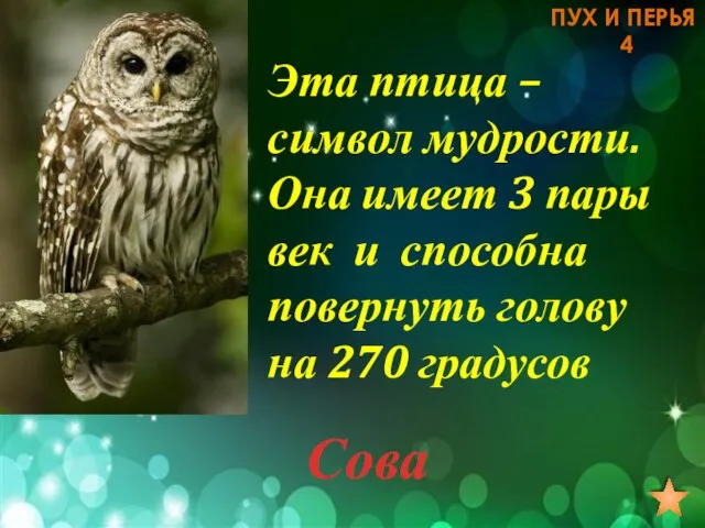 Эта птица – символ мудрости. Она имеет 3 пары век и способна