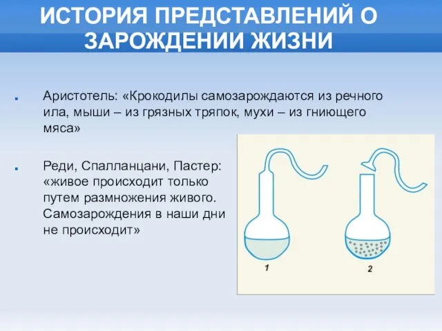 Аристотель: «Крокодилы самозарождаются из речного ила, мыши – из грязных тряпок, мухи