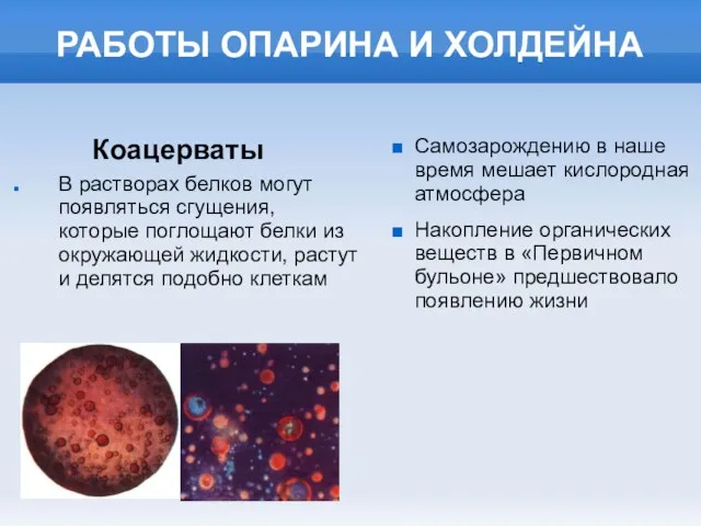 РАБОТЫ ОПАРИНА И ХОЛДЕЙНА В растворах белков могут появляться сгущения, которые поглощают