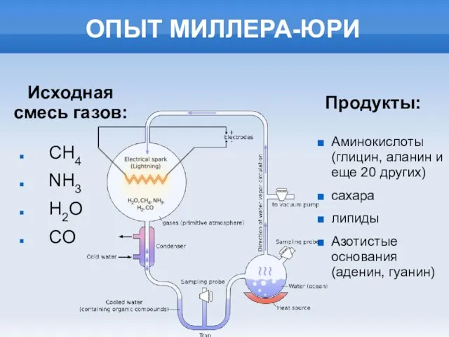 ОПЫТ МИЛЛЕРА-ЮРИ CH4 NH3 H2O CO Исходная смесь газов: Продукты: Аминокислоты (глицин,
