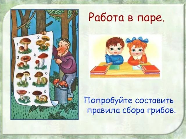 Работа в паре. Попробуйте составить правила сбора грибов.