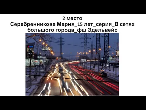 2 место Серебренникова Мария_15 лет_серия_В сетях большого города_фш Эдельвейс