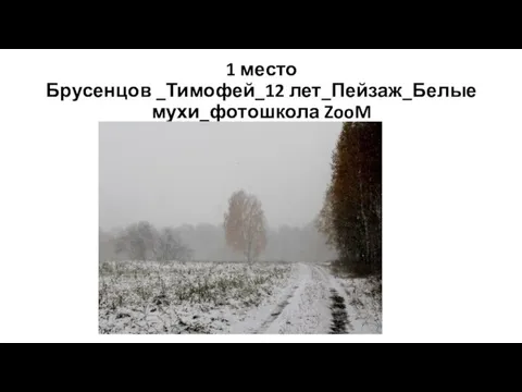 1 место Брусенцов _Тимофей_12 лет_Пейзаж_Белые мухи_фотошкола ZooM