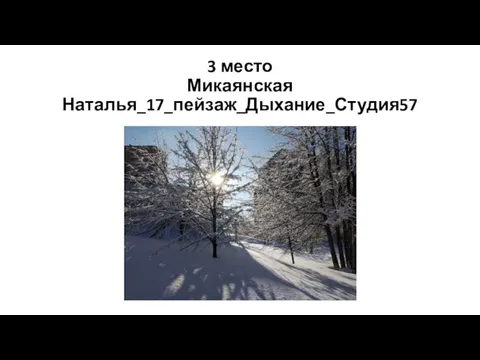 3 место Микаянская Наталья_17_пейзаж_Дыхание_Студия57