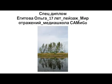 Спец диплом Егитова Ольга_17 лет_пейзаж_Мир отражений_медиашкола САМиGo