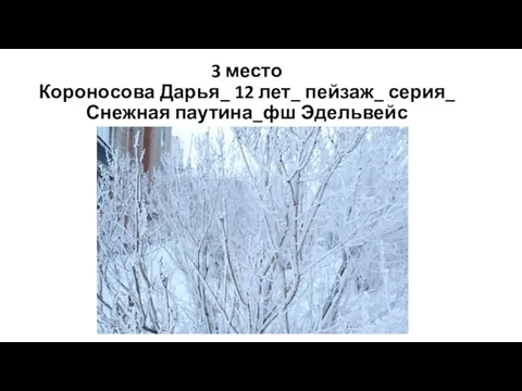 3 место Короносова Дарья_ 12 лет_ пейзаж_ серия_ Снежная паутина_фш Эдельвейс