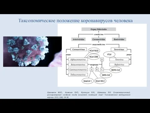 Щелканов М.Ю., Ананьев В.Ю., Кузнецов В.В., Шуматов В.Б. Ближневосточный респираторный синдром: когда