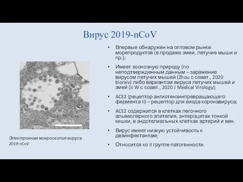 Вирус 2019-nCoV Впервые обнаружен на оптовом рынке морепродуктов (в продаже змеи, летучие