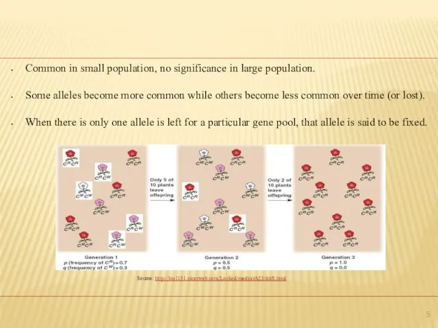 Common in small population, no significance in large population. Some alleles become