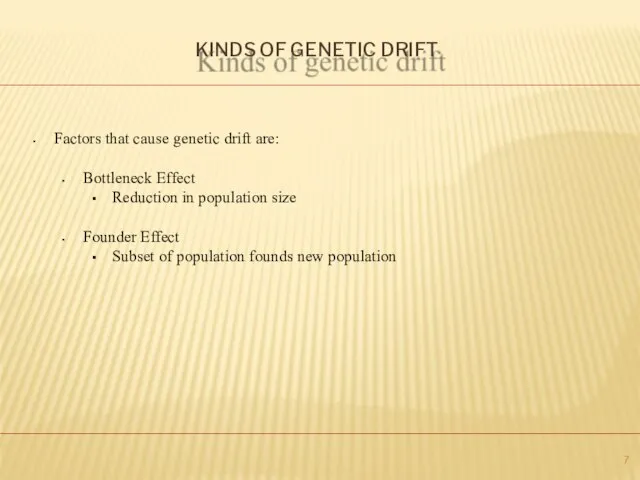 KINDS OF GENETIC DRIFT Factors that cause genetic drift are: Bottleneck Effect