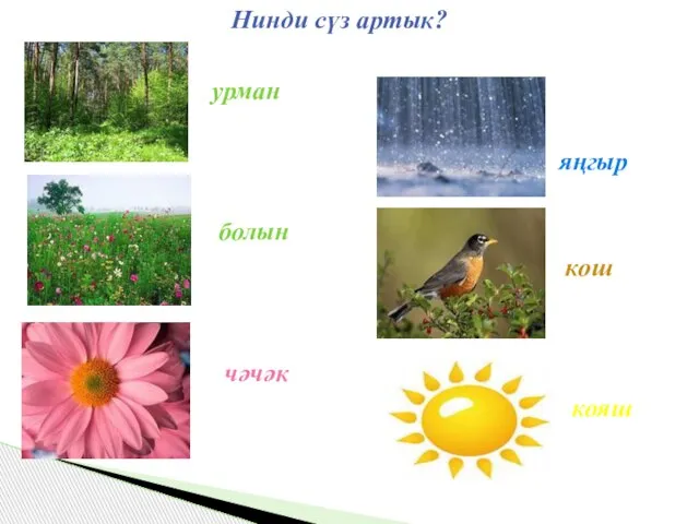 Нинди сүз артык? урман яңгыр болын кош чәчәк кояш