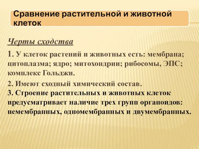 Черты сходства 1. У клеток растений и животных есть: мембрана; цитоплазма; ядро;