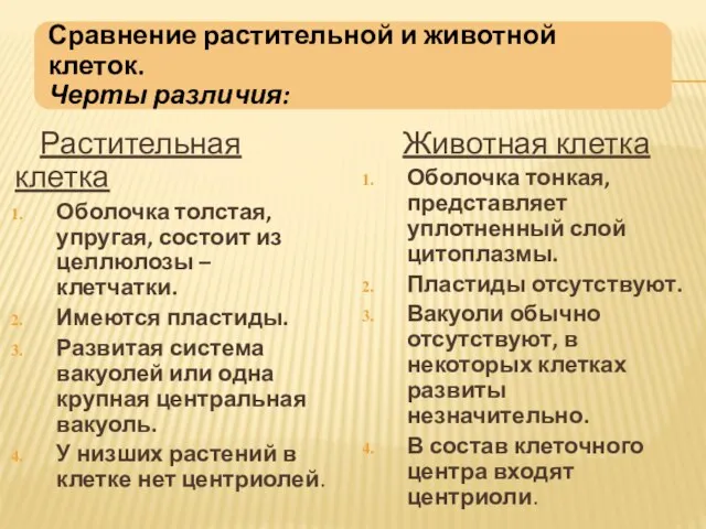 Растительная клетка Оболочка толстая, упругая, состоит из целлюлозы – клетчатки. Имеются пластиды.