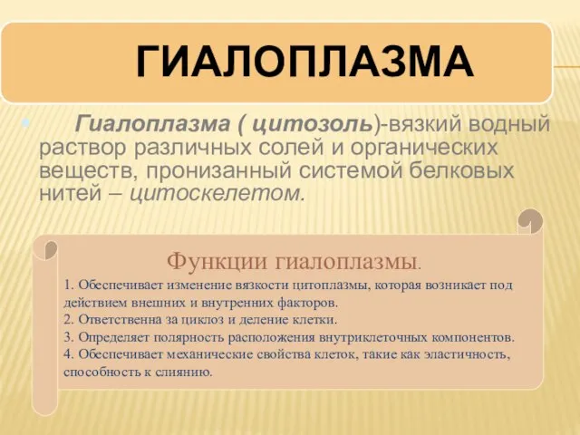 Гиалоплазма ( цитозоль)-вязкий водный раствор различных солей и органических веществ, пронизанный системой