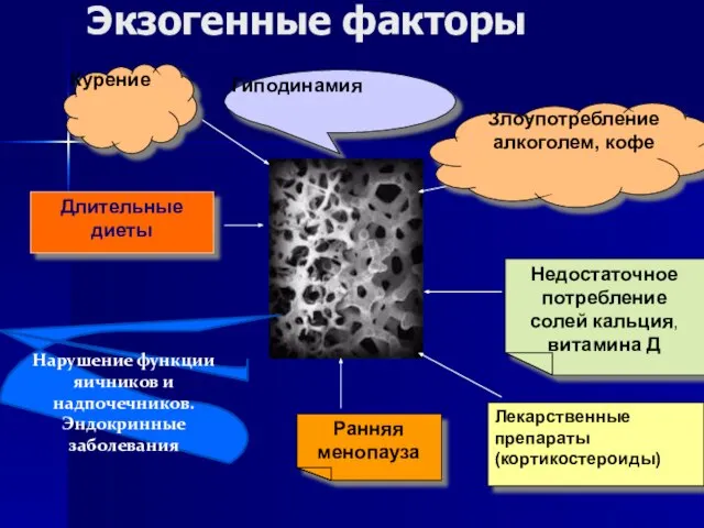 Экзогенные факторы Курение Злоупотребление алкоголем, кофе Гиподинамия Длительные диеты Нарушение функции яичников