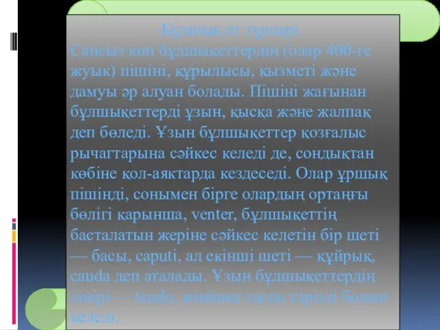 -Бұлшық ет түрлері. Сансыз көп бұлшықеттердің (олар 400-ге жуык) пішіні, құрылысы, қызметі