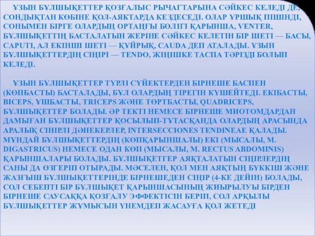 ҰЗЫН БҰЛШЫҚЕТТЕР ҚОЗҒАЛЫС РЫЧАГТАРЫНА СӘЙКЕС КЕЛЕДІ ДЕ, СОНДЫҚТАН КӨБІНЕ ҚОЛ-АЯКТАРДА КЕЗДЕСЕДІ. ОЛАР