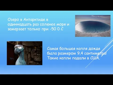 Озеро в Антарктиде в одиннадцать раз соленее моря и замерзает только при