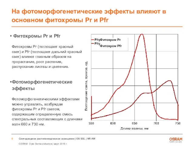 На фотоморфогенетические эффекты влияют в основном фитохромы Pr и Pfr Фитохромы Pr