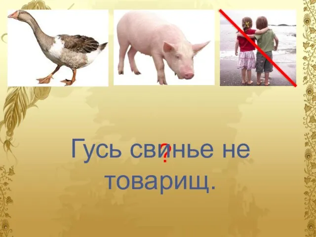 ? Гусь свинье не товарищ.